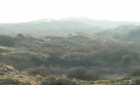 Wuthering Heights by Emily Brontë