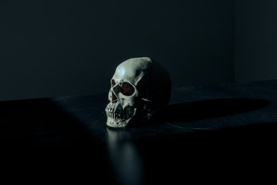 white and black skull figurine on black surface