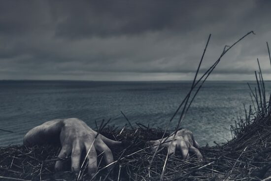 The Death of Ivan Ilyich by Leo Tolstoy closeup photo of person's hand